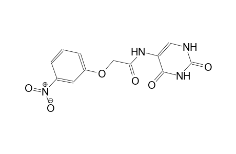 N-(2,4-dioxo-1,2,3,4-tetrahydro-5-pyrimidinyl)-2-(3-nitrophenoxy)acetamide