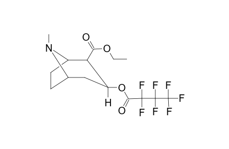 Ecgonine, heptafluorobutyrate, ethyl ester