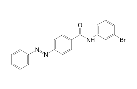 3'-bromo-4-phenylazobenzanilide