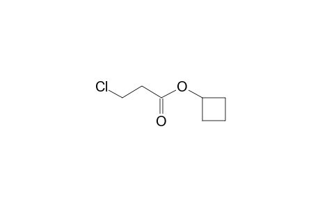 Cyclobutyl 3-chloropropanoate