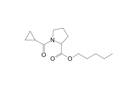 L-Proline, N-(cyclopropylcarbonyl)-, pentyl ester