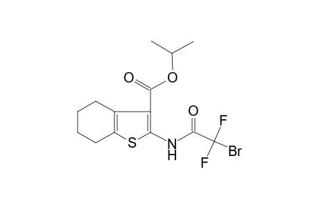 Isopropyl 2-([bromo(difluoro)acetyl]amino)-4,5,6,7-tetrahydro-1-benzothiophene-3-carboxylate