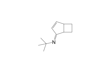 N-tert-Butyliminobicyclo[3.2.0]hept-2-ene