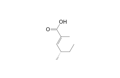 (E,4S)-2,4-dimethyl-2-hexenoic acid