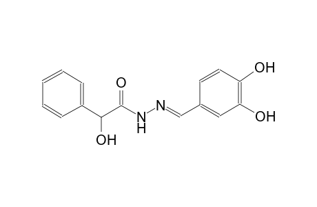 benzeneacetic acid, alpha-hydroxy-, 2-[(E)-(3,4-dihydroxyphenyl)methylidene]hydrazide