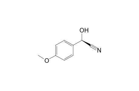 (2R)-2-(4-methoxyphenyl)-2-oxidanyl-ethanenitrile