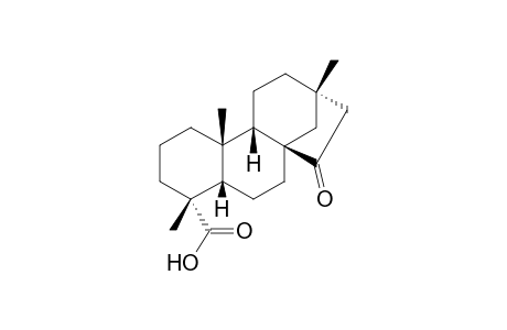 (+)-ent-15-Oxobeyeran-19-oic Acid