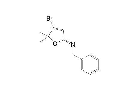 Z-2-Benzylimino-4-bromo-5,5-dimethyl-2,5-dihydrofuran