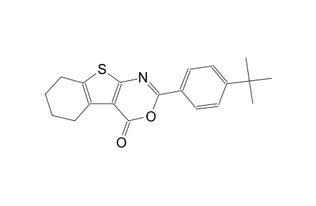 2-(4-tert-butylphenyl)-5,6,7,8-tetrahydro-4H-[1]benzothieno[2,3-d][1,3]oxazin-4-one