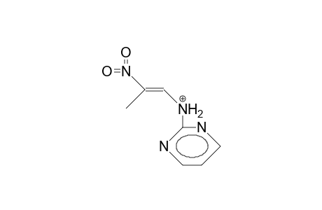 E-1-(2-Pyrimidinylamino)-2-nitro-propene cation