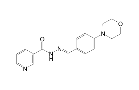 N'-((E)-[4-(4-Morpholinyl)phenyl]methylidene)nicotinohydrazide