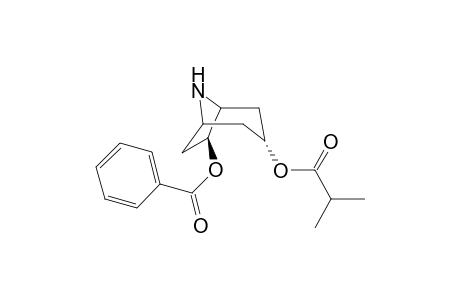Nortropane-3.alpha.,7.beta.-diol 7-benzoate 3-(2'-methylpropanoate)