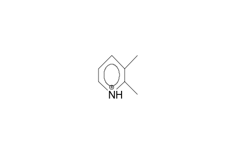 2,3-Diemethyl-pyridinium cation