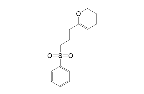 6-(3-Phenylsulfonylpropyl)-3,4-dihydro-2H-pyran