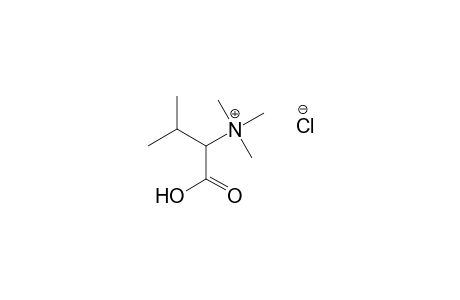 (S)-(1-carboxy-2-methylpropyl)trimethylammonium chloride