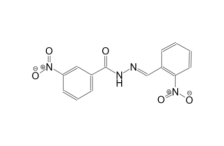 3-nitro-N'-[(E)-(2-nitrophenyl)methylidene]benzohydrazide