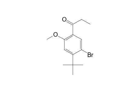 5'-bromo-4'-tert-butyl-2'-methoxypropiophenone