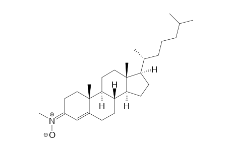 (Z)-N-((8S,9S,10R,13R,14S,17R)-10,13-Dimethyl-17-((R)-6-methylheptan-2-yl)-7,8,9,11,12,13,14,15,16,17-decahydro-1H- cyclopenta[a]phenanthren-3(2H, 6H,10H)-ylidene)methanamine Oxide
