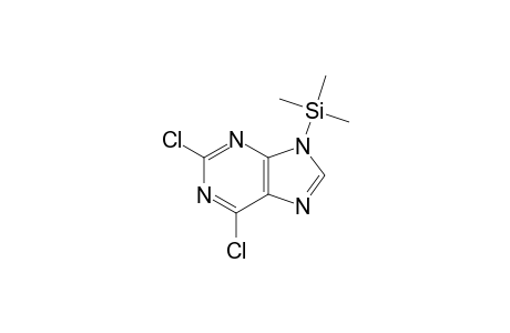 (2,6-dichloropurin-9-yl)-trimethylsilane
