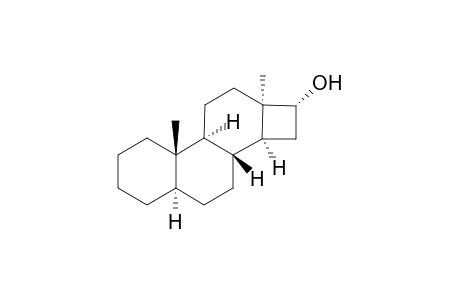 Cyclobuta[a]phenanthrene, D-norandrostan-16-ol deriv.