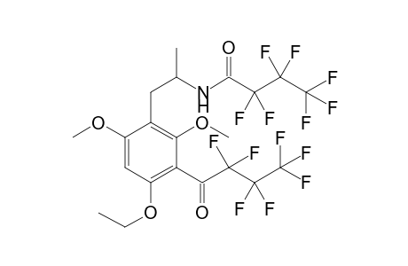 Psi-MEM 2HFB (N,C)