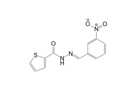 N'-[(E)-(3-nitrophenyl)methylidene]-2-thiophenecarbohydrazide