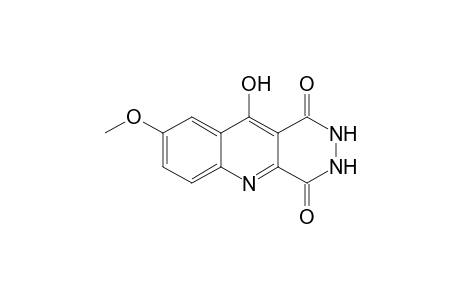 8-Methoxy-10-hydroxypyridazino[4,5-b]quinoline-1,4(2H,3H)-dione