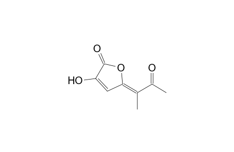 3-Hydroxy-5-(1-acetylethylidene)-5H-furan-2-one
