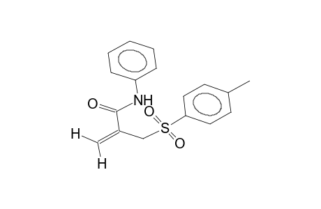N-phenyl-2-p-tolylsulfonylmethylacrylamide