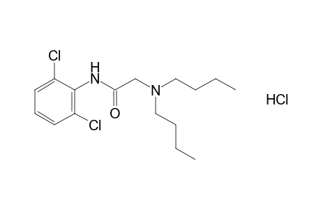 2-(dibutylamino)-2',6'-dichloroacetanilide, hydrochloride