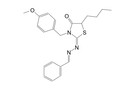 benzaldehyde [(2E)-5-butyl-3-(4-methoxybenzyl)-4-oxo-1,3-thiazolidin-2-ylidene]hydrazone