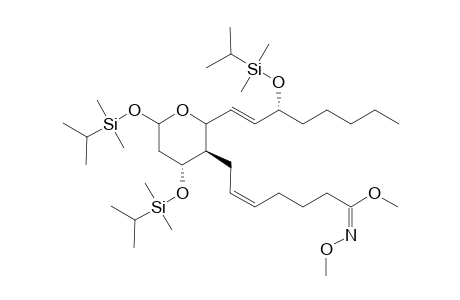 DMIPS-ether of thromboxane-b2-methyl oxime-methyl ester