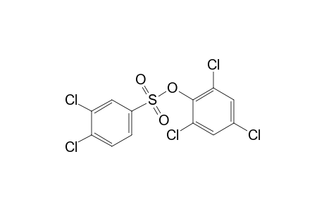 3,4-dichlorobenzenesulfonic acid, 2,4,6-trichlorophenyl ester