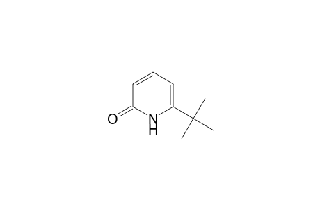 6-tert-butyl-1H-pyridin-2-one