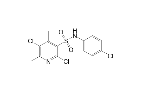 2,5-Dichloro-4,6-dimethylpyridine-3-N-4-chlorophenylsulfonylamide