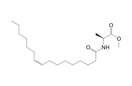 (S)-N-[(Z)-Hexadec-9-enoyl]alanine Methyl Ester