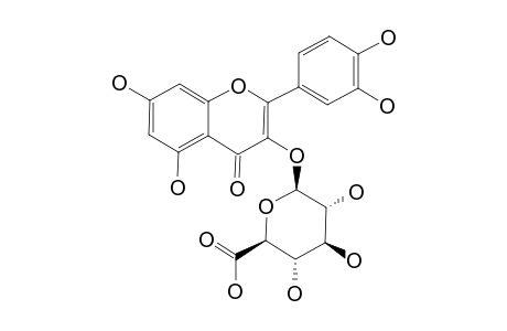 QUERCETIN-3-BETA-O-GLUCURONOPYRANOSIDE