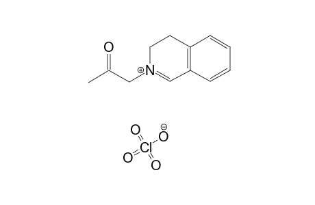 2-Acetonyl-3,4-dihydroisoquinolinium-perchlorate
