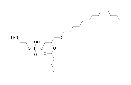 PE O-13:1_5:0