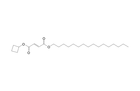 Fumaric acid, cyclobutyl hexadecyl ester