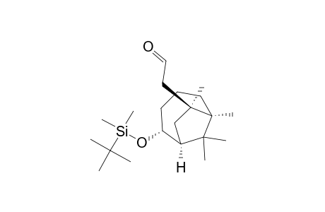 (1R*,2R*,6R*,7S)-2-(tert-Butyldimethylsiloxy)-7-(formylmethyl)-6,7,9,9-tetramethylbicyclo[4.2.1]nonane