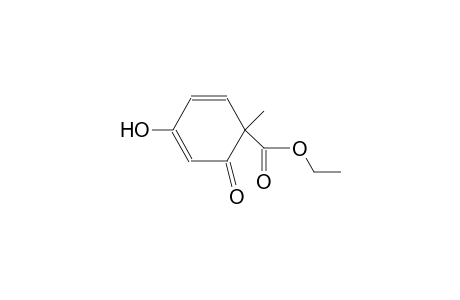 Cyclohexa-2,4-dienecarboxylic acid, 4-hydroxy-1-methyl-6-oxo-, ethyl ester