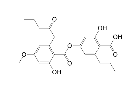 Benzoic acid, 2-hydroxy-4-[[2-hydroxy-4-methoxy-6-(2-oxopentyl)benzoyl]oxy]-6-propyl-