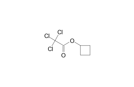 Cyclobutyl trichloroacetate