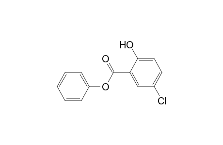 5-Chloro-2-hydroxy-benzoic acid phenyl ester