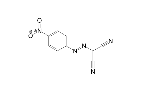 Propanedinitrile, 2-[-2-(4-nitrophenyl)diazenyl]-