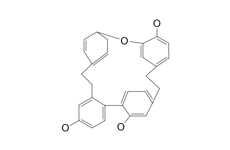 Riccardin C