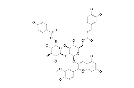 PEONIDIN-3-O-[6-O-(E)-CAFFEOYL-[2-O-(6-O-PARA-HYDROXYBENZOYL)-BETA-D-GLUCOPYRANOSYL]-BETA-D-GLUCOPYRANOSIDE]