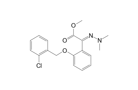 Benzeneacetic acid, 2-[(2-chlorophenyl)methoxy]-alpha-(dimethylhydrazono)-, methyl ester