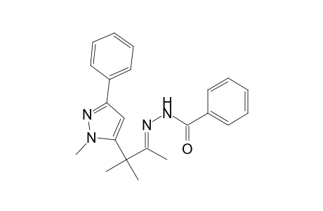 N-[(E)-[1,2-dimethyl-2-(2-methyl-5-phenyl-pyrazol-3-yl)propylidene]amino]benzamide